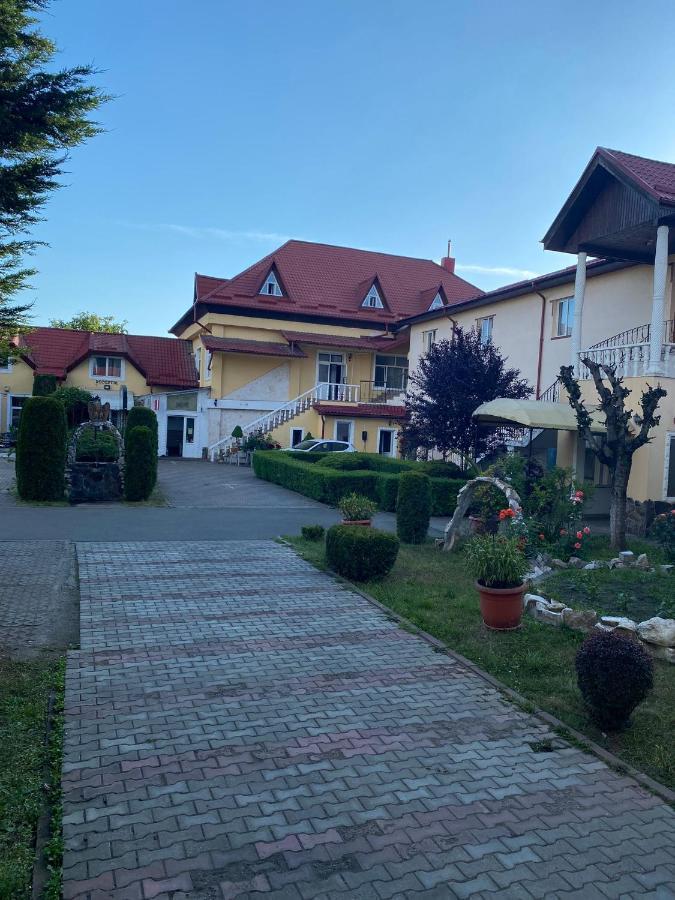 Pensiunea Viena Târgu-Mureş Dış mekan fotoğraf