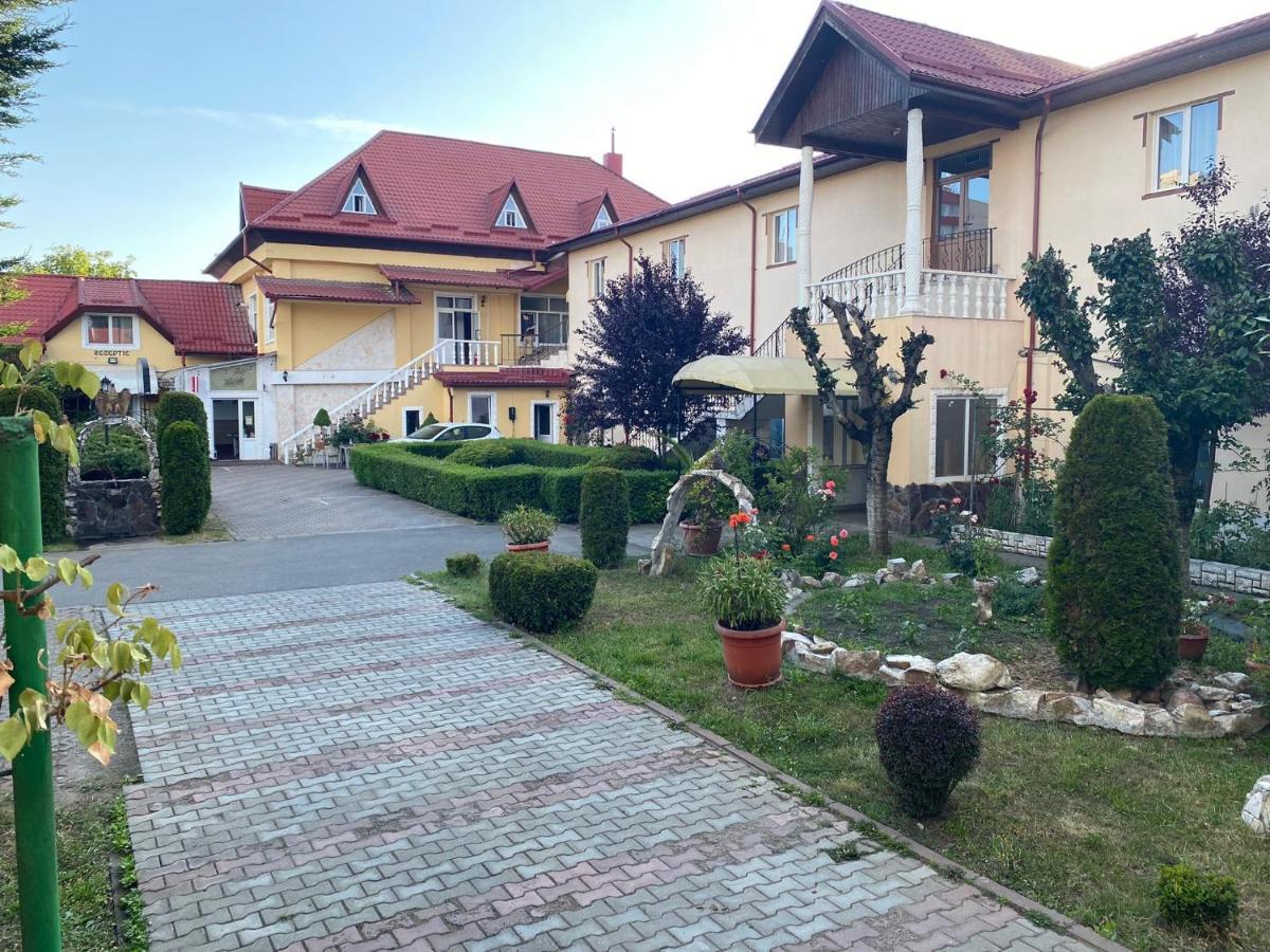 Pensiunea Viena Târgu-Mureş Dış mekan fotoğraf